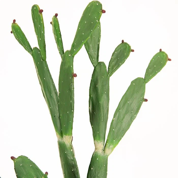 b0c7d5af568eb6c476fa4716f4493bbf