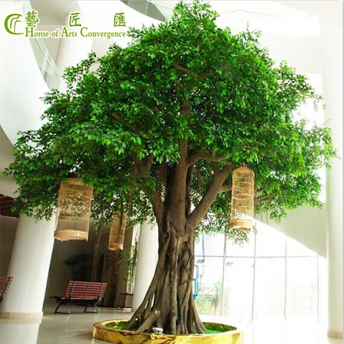 Silk Ficus Tree