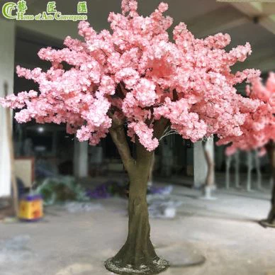 شجرة ساكورا الحرير
